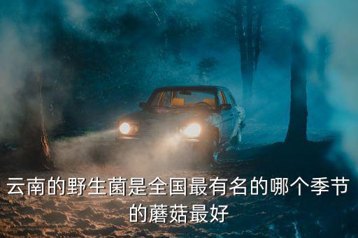 云南的野生菌是全國最有名的哪個季節的蘑菇最好