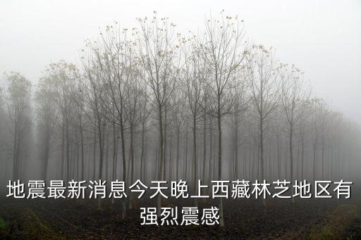 最新地震信息，云南昭通青崗嶺地震最新消息