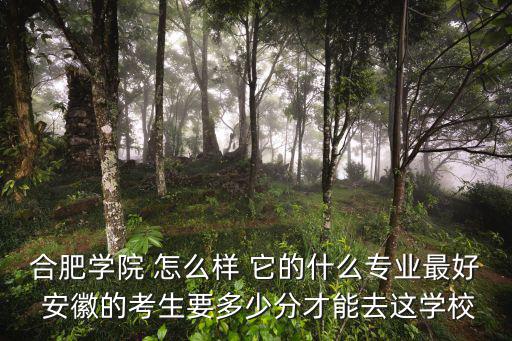 合肥學院 怎么樣 它的什么專業最好 安徽的考生要多少分才能去這學校