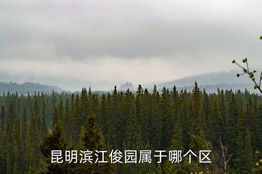 昆明濱江俊園，昆明濱江俊園到人工瀑布公交車