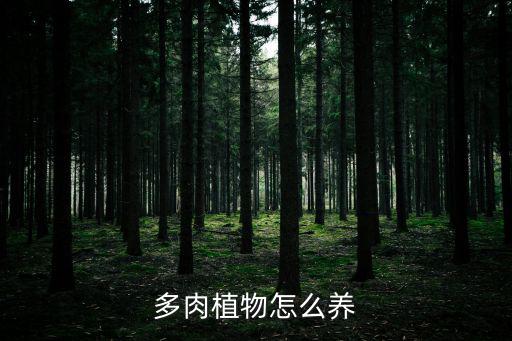 多肉植物怎么養(yǎng)