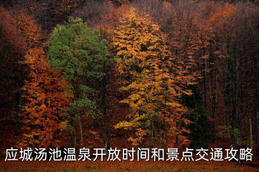 應城湯池溫泉開放時間和景點交通攻略