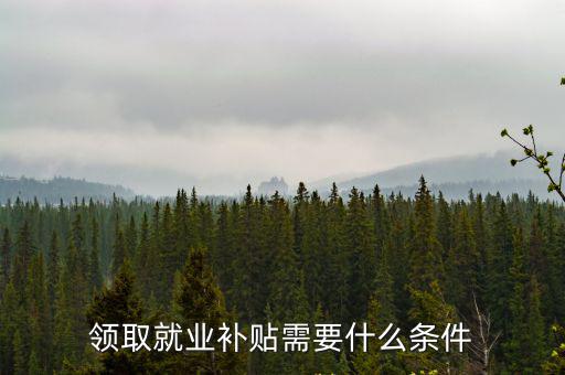 大學(xué)生就業(yè)補(bǔ)貼怎么申請(qǐng)，領(lǐng)取就業(yè)補(bǔ)貼需要什么條件