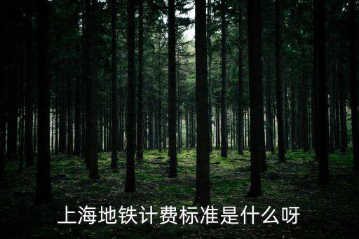 上海地鐵計費標準是什么呀