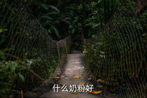 什么奶粉好