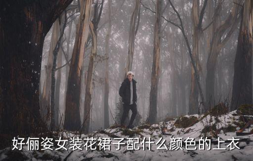 好儷姿女裝花裙子配什么顏色的上衣