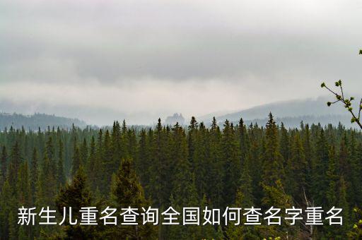 新生兒重名查詢，沈陽相同名字查詢怎么查