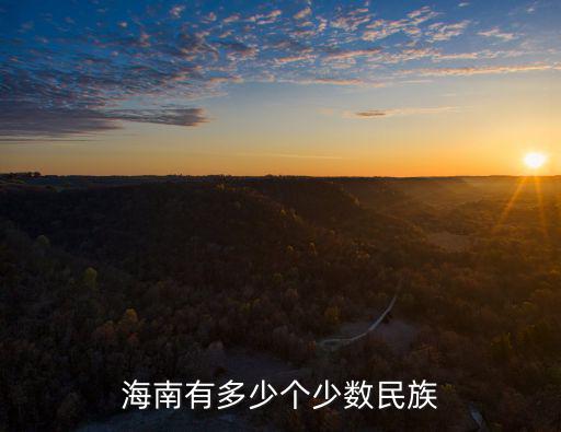海南少數民族，請問海南有什么少數民族