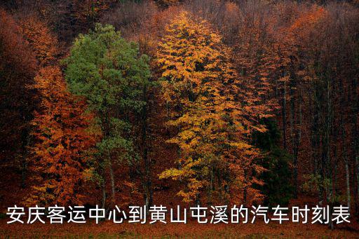 安慶客運中心到黃山屯溪的汽車時刻表