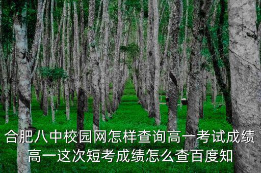 合肥八中校園網怎樣查詢高一考試成績高一這次短考成績怎么查百度知