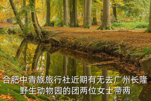 合肥中青旅，合肥旅行社中青旅近期青島游青島游幾日報價多少