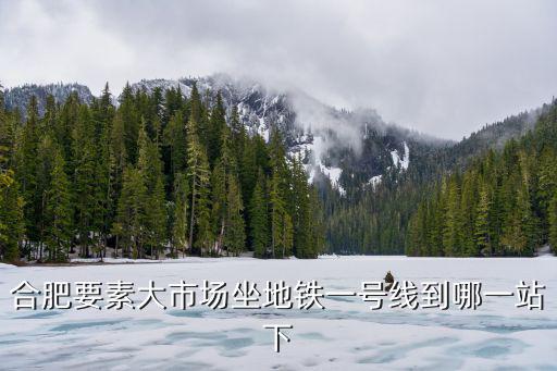 合肥要素大市場坐地鐵一號線到哪一站下