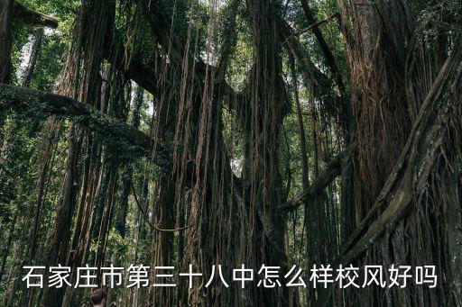 石家莊市第三十八中怎么樣校風好嗎