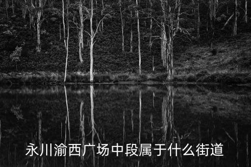 勝利路街道辦事處，濮陽龍之光屬于哪個街道辦事處