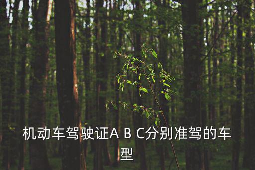 準(zhǔn)駕車型對(duì)照表，準(zhǔn)駕車型代號(hào)規(guī)定