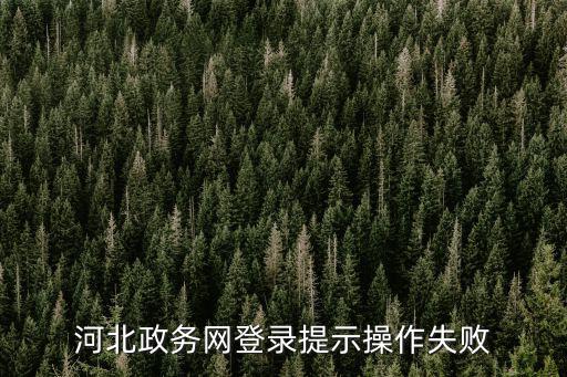 河北政務網登錄提示操作失敗