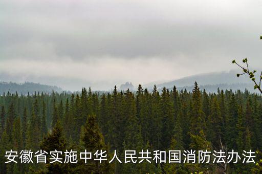 安徽省實施中華人民共和國消防法辦法