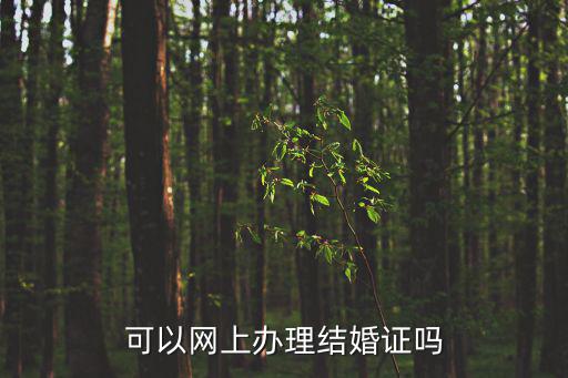 可以網上辦理結婚證嗎