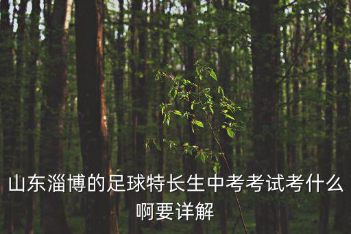 山東淄博的足球特長生中考考試考什么啊要詳解