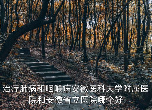 治療肺病和咽喉病安徽醫科大學附屬醫院和安徽省立醫院哪個好