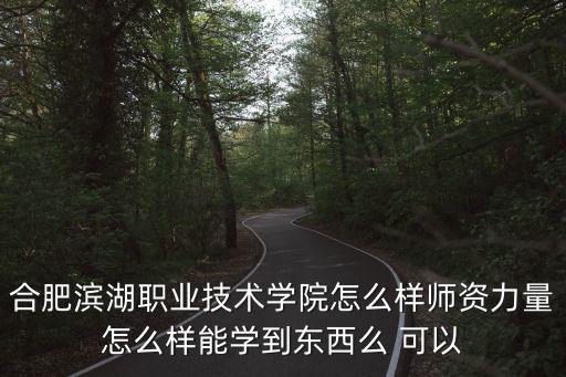 合肥濱湖職業學院，合肥濱湖職業技術學院是公辦嗎