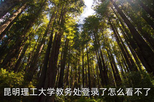昆明理工大學教務處登錄了怎么看不了