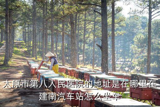 第八醫(yī)院地址，上海第八人民醫(yī)院在什么位置