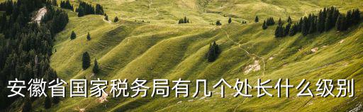 安徽省國家稅務(wù)局有幾個處長什么級別