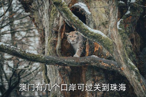 澳門有幾個口岸可過關到珠海