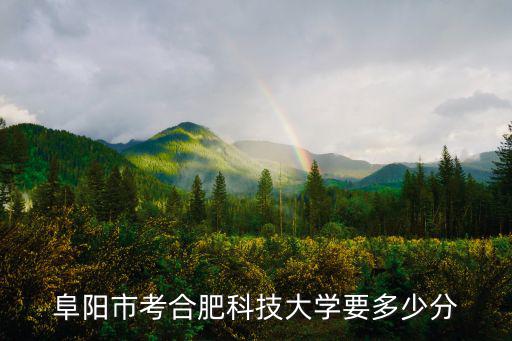 阜陽市考合肥科技大學要多少分