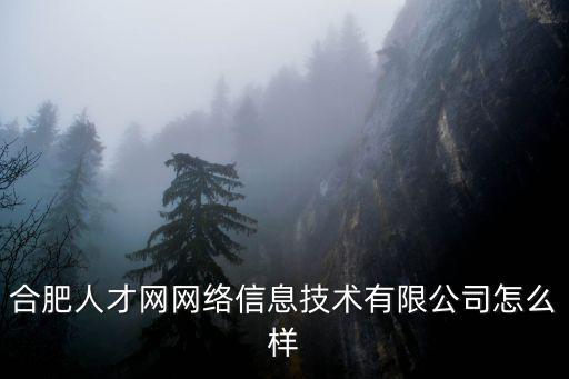 合肥人才網(wǎng)網(wǎng)絡(luò)信息技術(shù)有限公司怎么樣