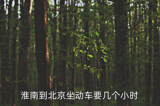 淮南到北京坐動(dòng)車要幾個(gè)小時(shí)