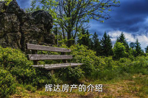 輝達(dá)房產(chǎn)，輝達(dá)房產(chǎn)的介紹