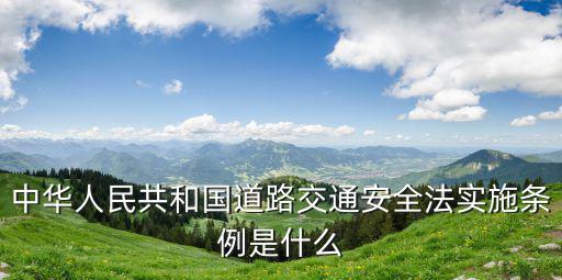 中華人民共和國道路交通安全法實施條例是什么