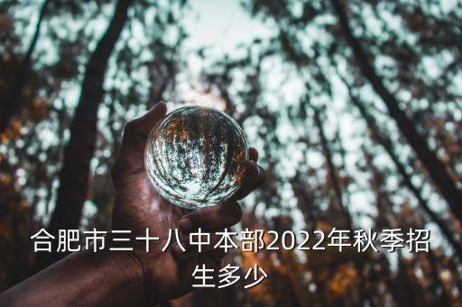 合肥市三十八中本部2022年秋季招生多少