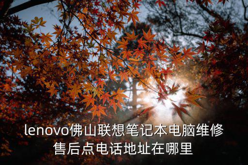佛山電腦維修，佛山南海區平洲附件哪有維修電腦比較厲害價格實惠的
