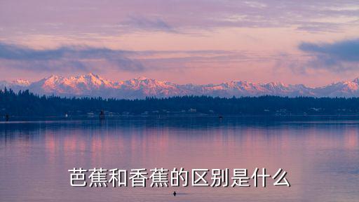 芭蕉和香蕉的區別是什么