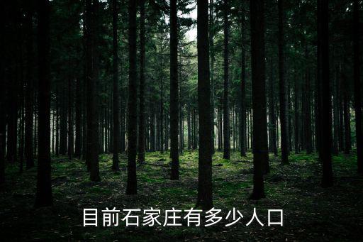 石家莊人口，石家莊現(xiàn)有人口數(shù)