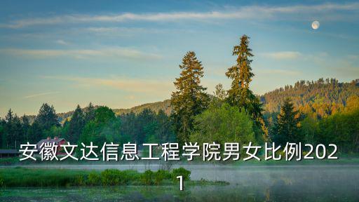 安徽文達(dá)信息工程學(xué)院男女比例2021