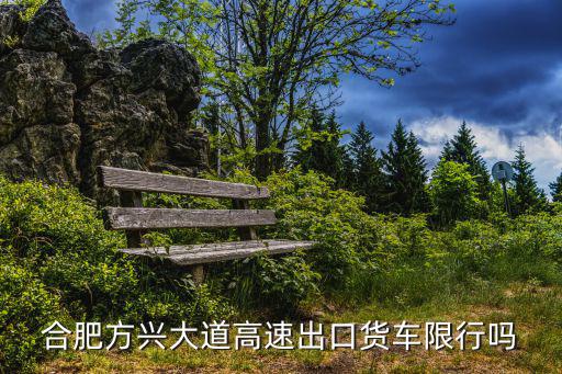 合肥方興大道高速出口貨車限行嗎