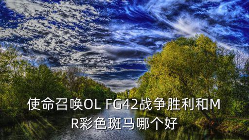 使命召喚OL FG42戰(zhàn)爭(zhēng)勝利和MR彩色斑馬哪個(gè)好