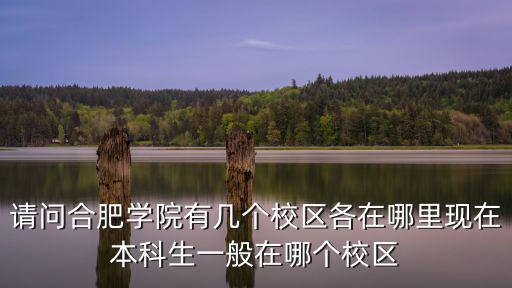請問合肥學院有幾個校區各在哪里現在本科生一般在哪個校區
