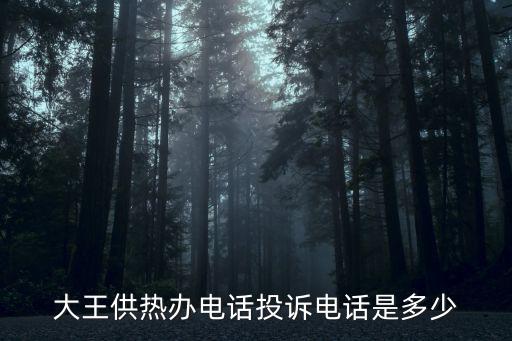 大王供熱辦電話投訴電話是多少
