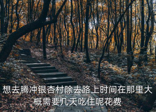 想去騰沖銀杏村除去路上時(shí)間在那里大概需要幾天吃住呢花費(fèi)