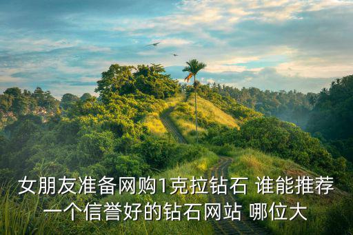 女朋友準備網購1克拉鉆石 誰能推薦一個信譽好的鉆石網站 哪位大