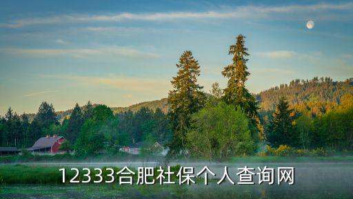 12333合肥社保個人查詢網