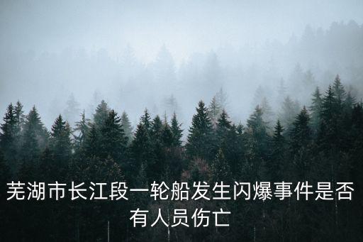 蕪湖爆炸，蕪湖左岸發生一起煤氣爆炸是否真的
