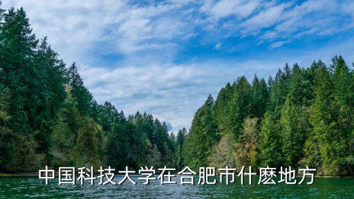中國科技大學在合肥市什麼地方