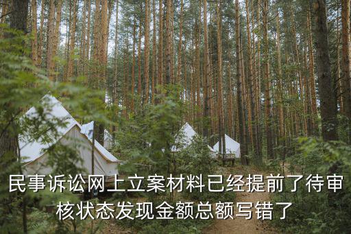 民事訴訟網(wǎng)上立案材料已經(jīng)提前了待審核狀態(tài)發(fā)現(xiàn)金額總額寫錯(cuò)了