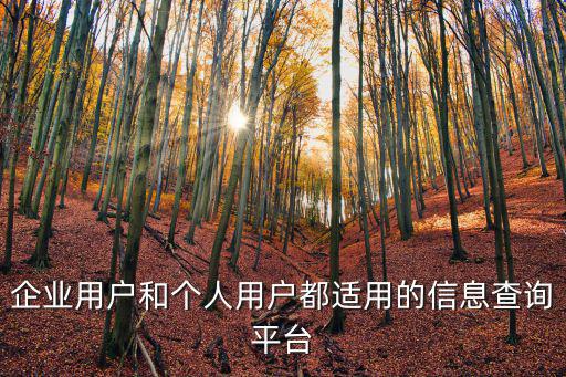 企業(yè)用戶和個(gè)人用戶都適用的信息查詢平臺(tái)